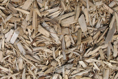 biomass boilers Tilkey